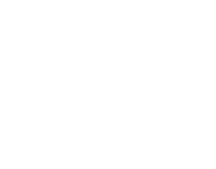 Video consultation